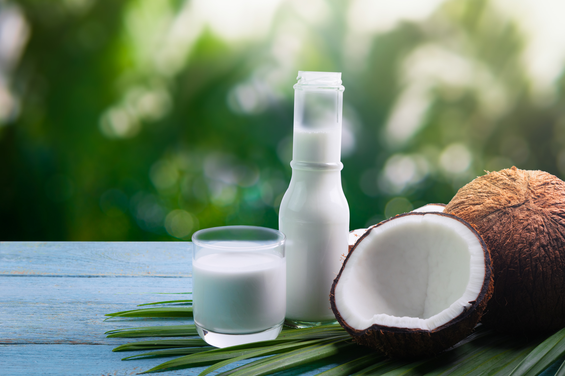 Massaging Coconut Oil for Cellulite: Does it Work?
